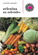 Zelenina na zahrádce