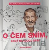 O čem sním, když náhodou spím