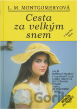 Cesta za velkým snem : Román pro dívky