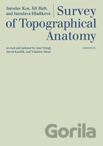 Survey of Topographical Anatomy