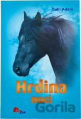 Hrdina noci