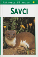 Savci