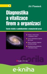 Diagnostika a vitalizace firem a organizací