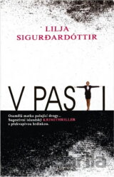 V pasti