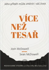 Více než tesař