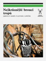 Nejkrásnější brouci tropů