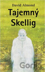Tajemný Skellig