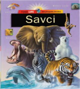 Savci