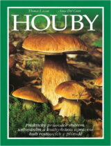 Houby
