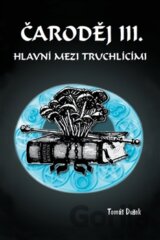 Čaroděj III: Hlavní mezi truchlícími