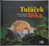 Tuláček liška