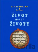Život mezi životy : vědecké zkoumání prostoru oddělujícího jednu inkarnaci od druhé