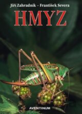 Hmyz