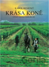 Krása koně