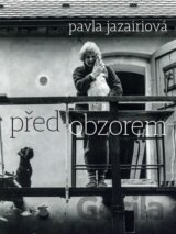 Před obzorem