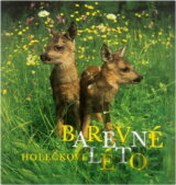 Barevné léto