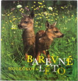 Barevné léto