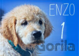 Enzo