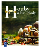 Houby a lesní plody