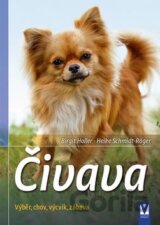 Čivava