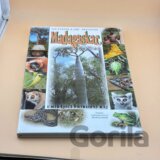 Madagaskar : umírající přírodní ráj
