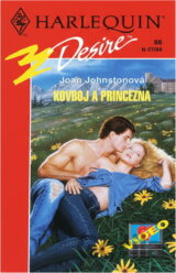 Kovboj a princezna