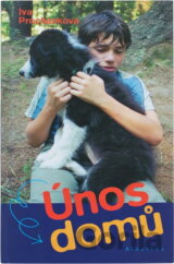 Únos domů