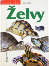 Želvy
