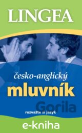 Česko-anglický mluvník