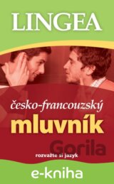 Česko-francouzský mluvník
