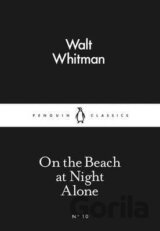 On the Beach at Night Alone
