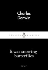 It Was Snowing Butterflies
