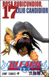 Bleach 17