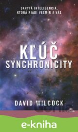 Kľúč synchronicity