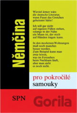 Němčina pro pokročilé samouky