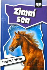 Zimní sen