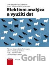 Efektivní analýza a využití dat