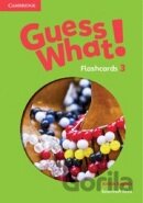 Guess What! Level 3 Flashcards