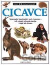 Cicavce