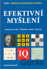 Efektivní myšlení