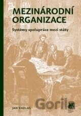 Mezinárodní organizace