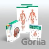 Sobotta Atlas of Anatomy