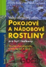 Pokojové a nádobové rostliny pro byt i balkony