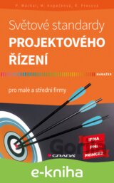 Světové standardy projektového řízení
