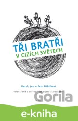 Tři bratři v cizích světech