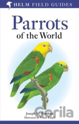 Parrots of the World