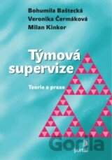 Týmová supervize