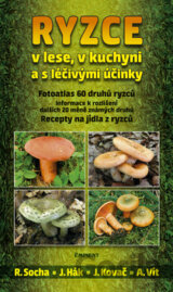Ryzce