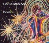 Bonsai č. 3: Hořká letní noc