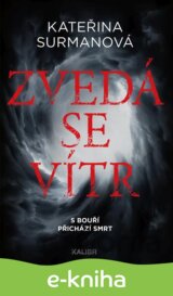 Zvedá se vítr